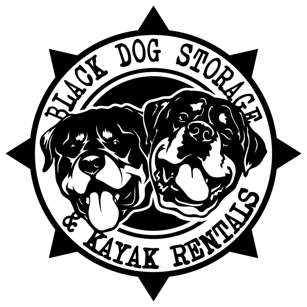 Sponsor 1